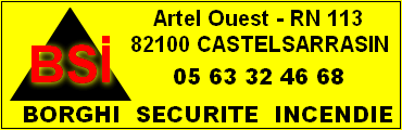 Logo BORGHI SECURITE INCENDIE, Castelsarrazin, D�partement du Tarn et Garonne, R�gion Midi-Pyr�n�es