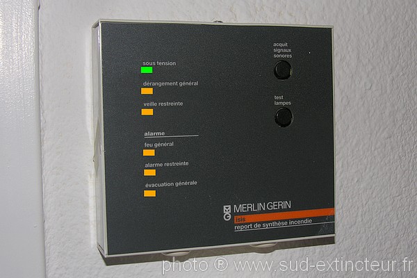 MERLIN GERIN ISIS 57198 : Bo�tier de Report de Synth�se